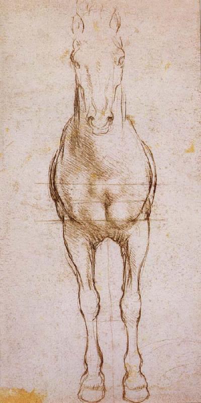 LEONARDO da Vinci Study of the proportion of horses oil painting image